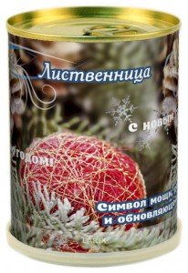 Растение в банке *Лиственница новогодняя* Растение в банке *Лиственница новогодняя*